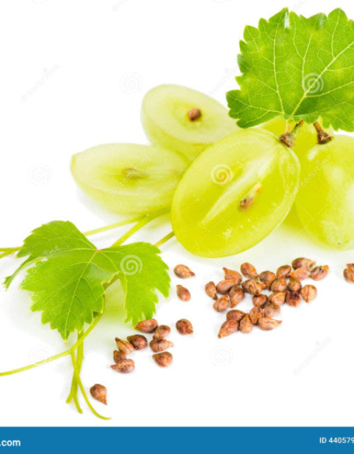 4653