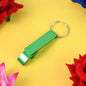 Metal Bottle Opener Keychain (1 Pc)