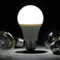 Rechargeable 5W LED emergency bulb