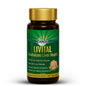Livital Tablets | Clinically Proven Ayurvedic Liver Detox Tablets | Results in 2 Months (90 Tabs)