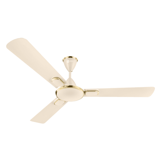 Blanco Decorative Ceiling Fan | 2-Year Warranty