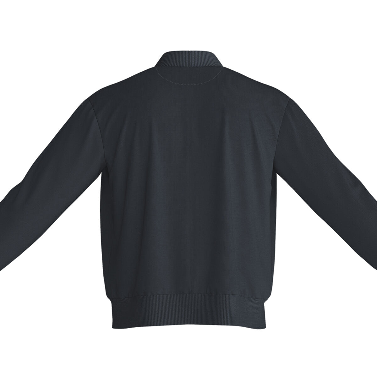 Back View - 5595039