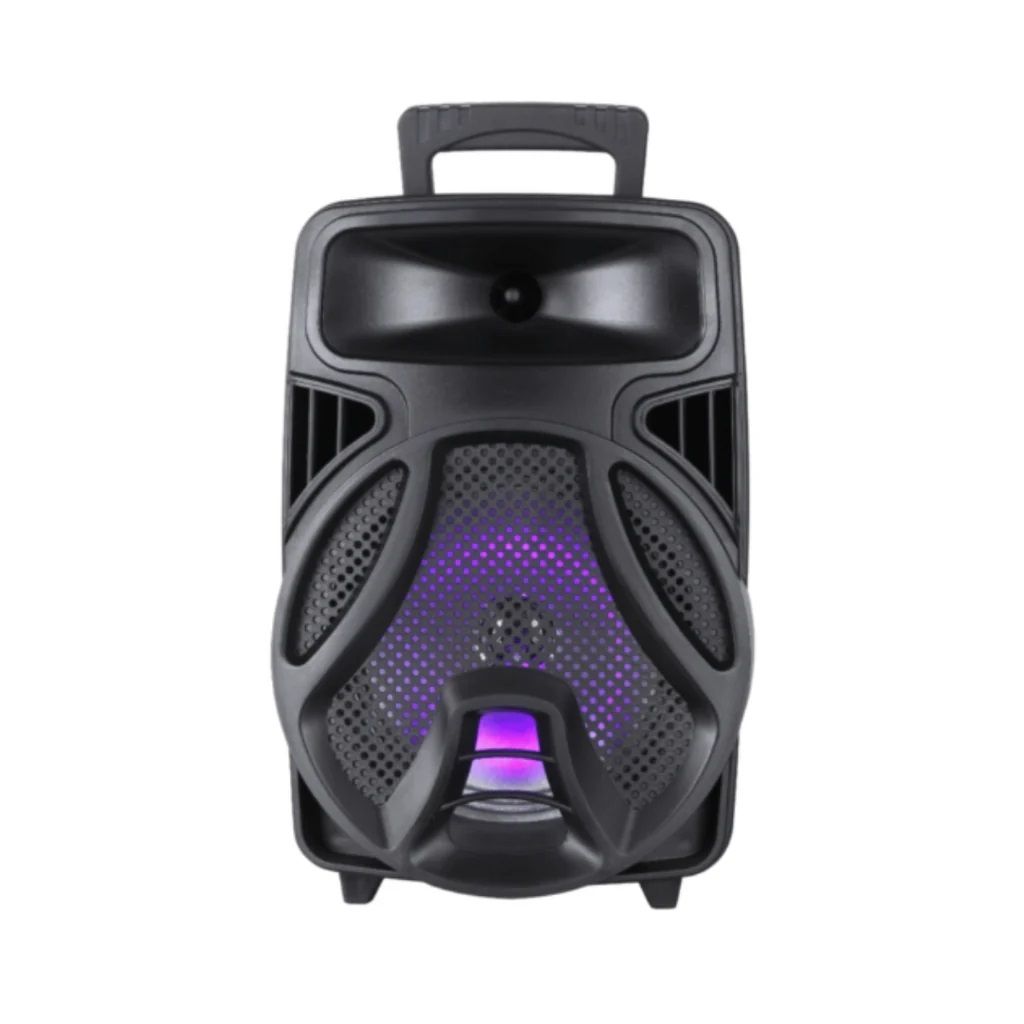Swiss Military Trolly 20W Boom Speaker