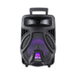 Swiss Military Trolly 20W Boom Speaker
