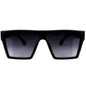 SmartGlasses