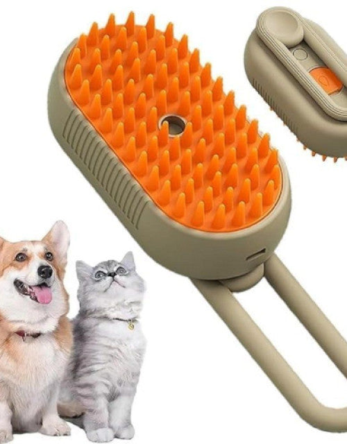 7646